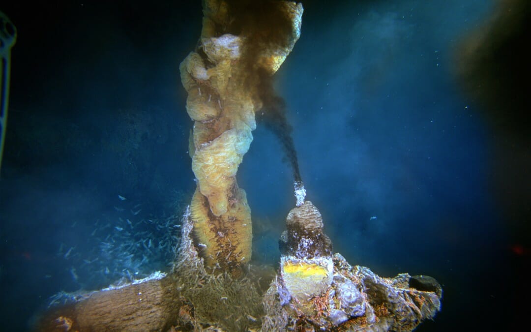 Volcanoes of the Deep Sea