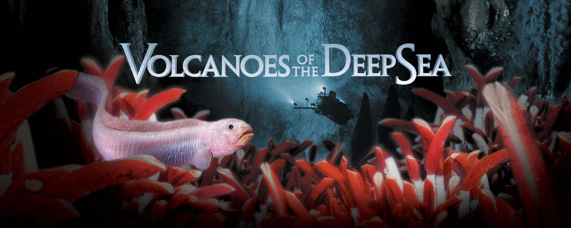 Where to See Volcanoes of the Deep Sea - The Stephen Low Company